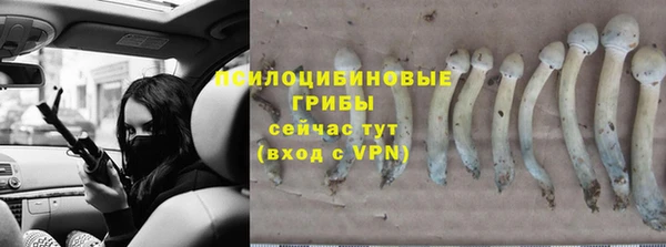 бошки Беломорск