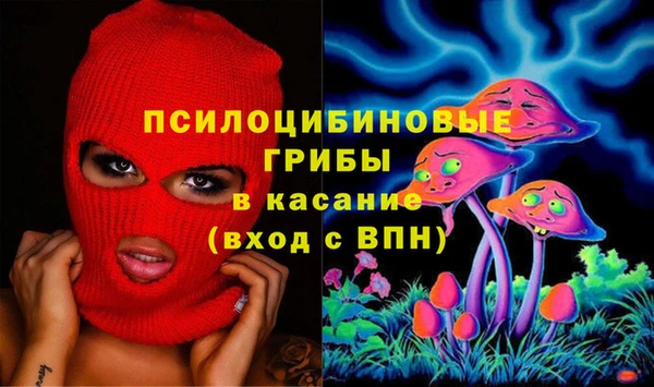 бошки Беломорск
